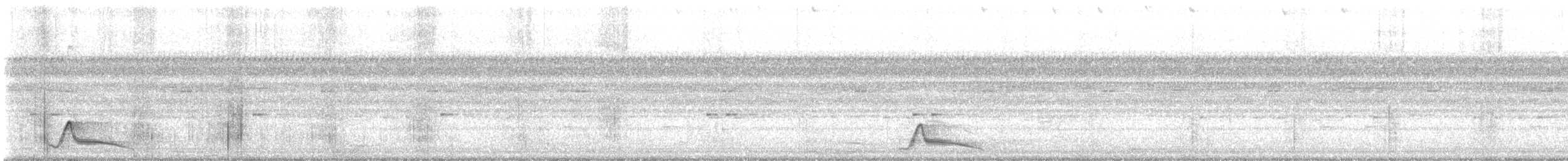 Pauraquenachtschwalbe - ML538702141