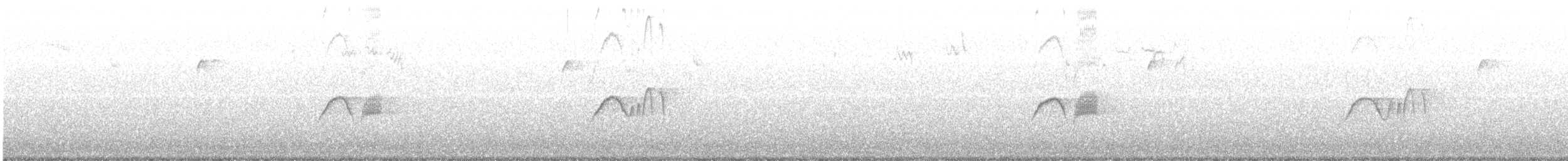 Светлобрюхий фиби - ML53871051