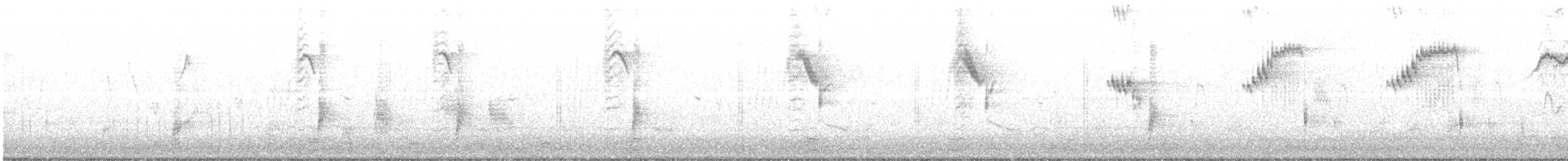 歐洲椋鳥 - ML53871151