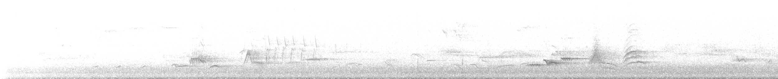Eurasian Blackbird - ML538725771