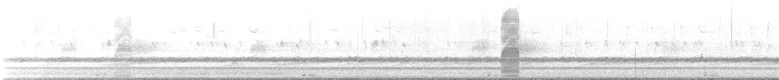 American Woodcock - ML538822111