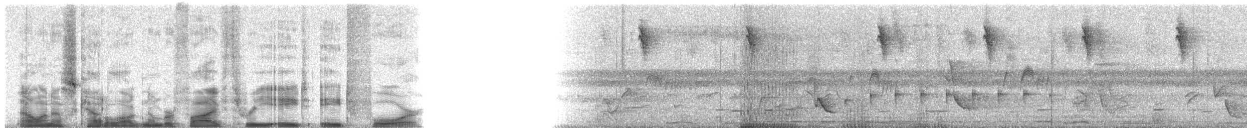 puertoricosmaragd - ML53884