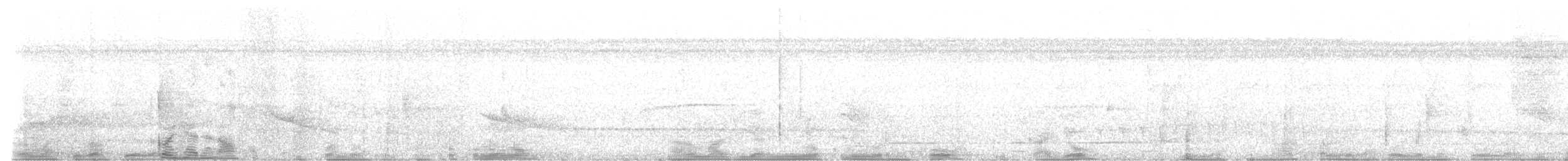 Plumbeous Antbird - ML538853601