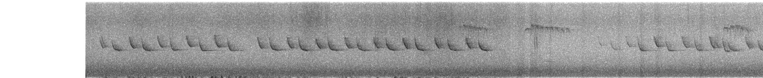 Çam Baştankarası (ptilosus/kuatunensis) - ML538871791