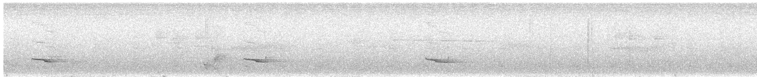 Silver-breasted Broadbill - ML538878051