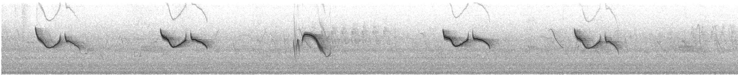 grønnelenia (minima/jaliscensis) - ML538981901