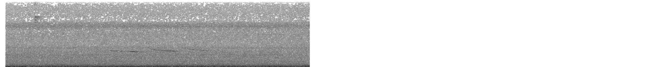 Kıvrık Gagalı Karıncaavcısı - ML539038541