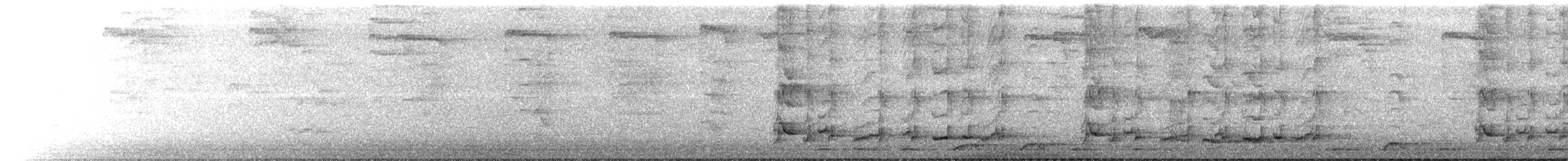 Gray Butcherbird - ML539092311