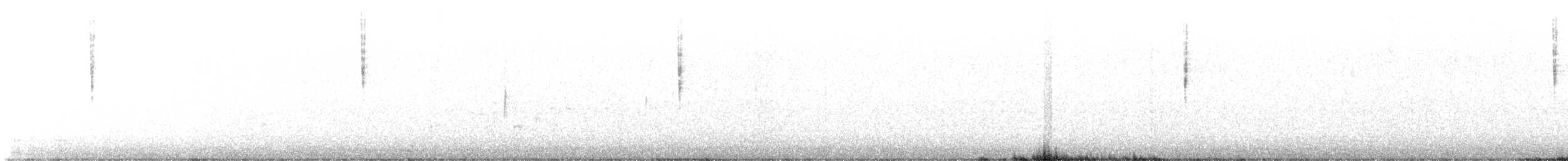 lesňáček hvězdičkový (ssp. celata/orestera) - ML539097191