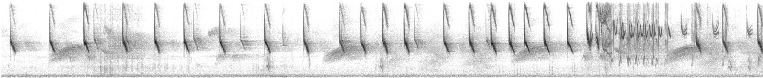 Rotkappen-Buschammer - ML539131091