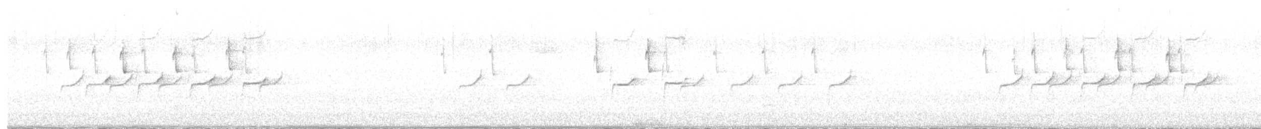 Çam Baştankarası - ML539210201