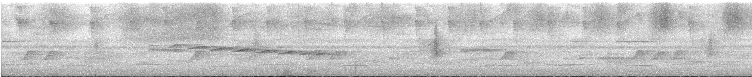 Тёмный тенелюб (peruvianus) - ML539238561