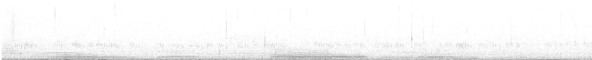 Снігар блідий - ML539245691