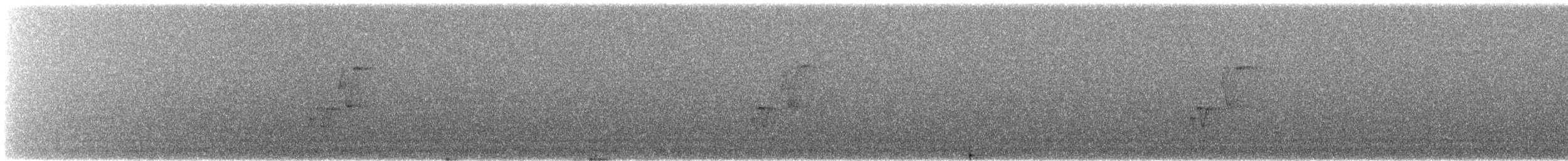 スズメ目 - ML539253401