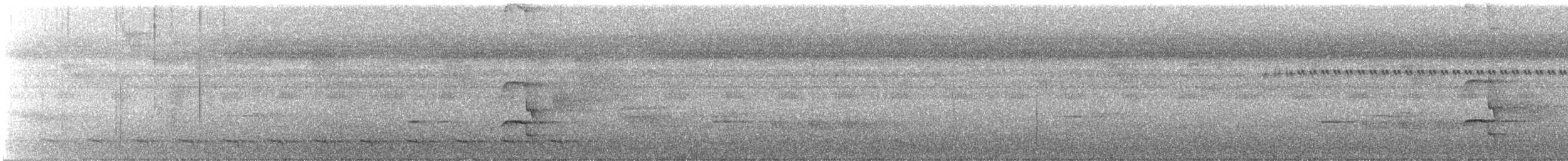 スズメ目 - ML539253481