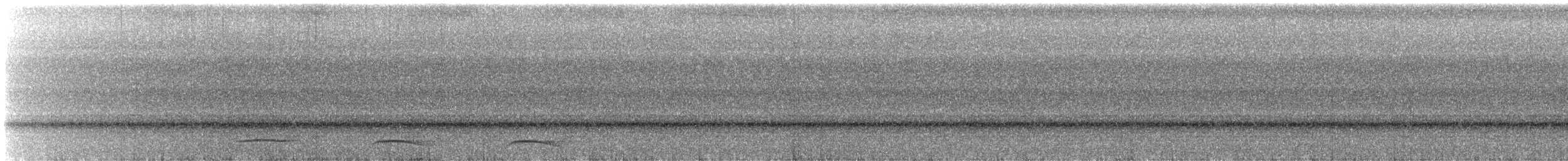 Kuzeyli Kara Gerdanlı Trogon - ML539254721