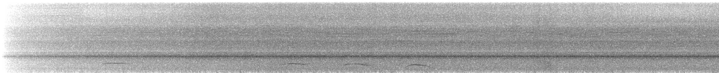 Kuzeyli Kara Gerdanlı Trogon - ML539254821