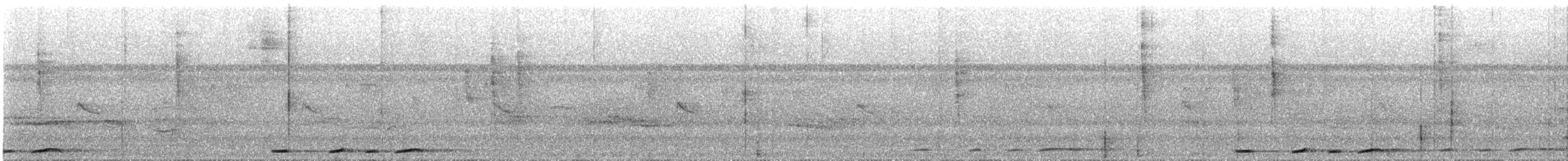 holub krátkozobý - ML539279611