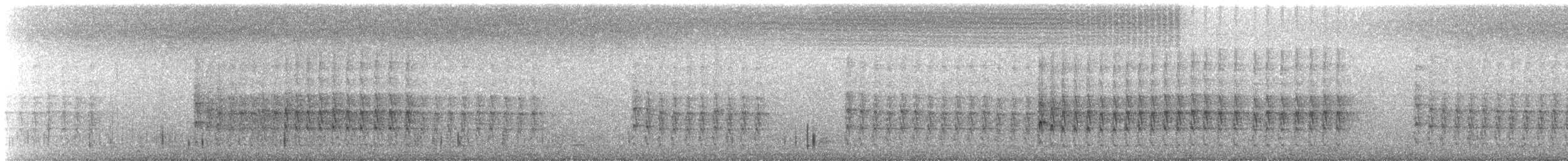 Hoffmann's Woodpecker - ML539425851