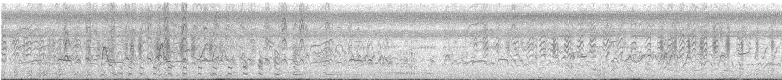 Kara Karınlı Islıkçı Ördek - ML539431511