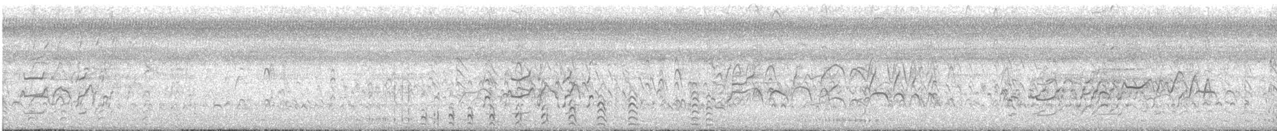 Kara Karınlı Islıkçı Ördek - ML539432861