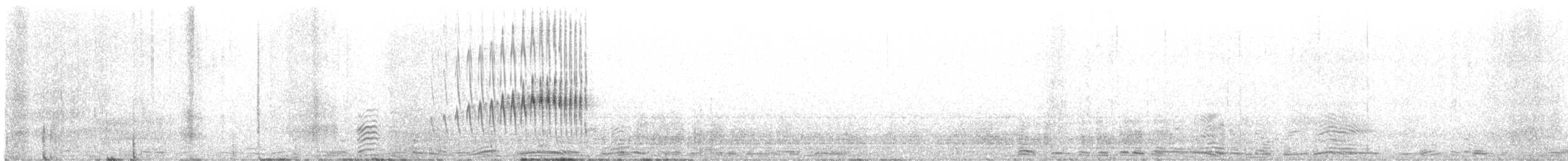 striperyggkurvfugl (sclateri gr.) - ML539492891