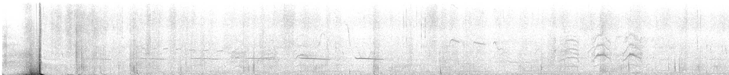 Brushland Tinamou - ML539506031