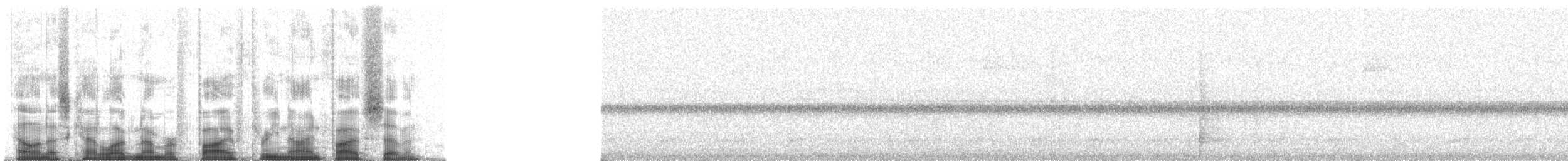 Kara Orak Kanatlı Guan - ML53957