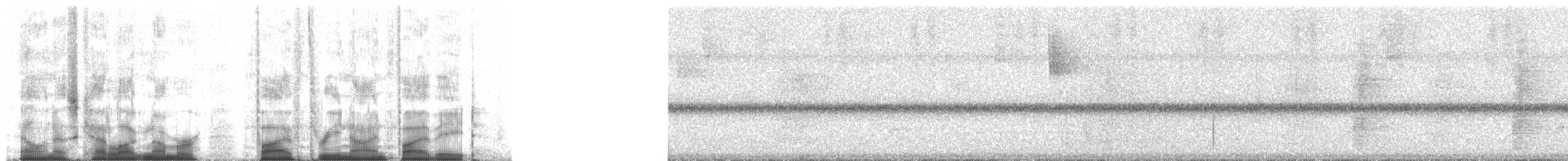 Kara Orak Kanatlı Guan - ML53958