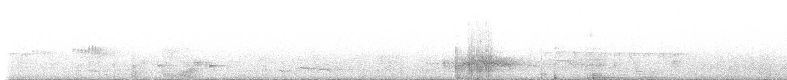 Slender-billed Oriole - ML539632231