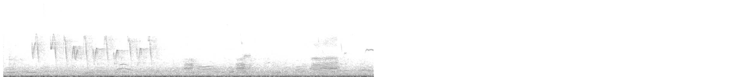 Соловьиная широкохвостка - ML539641591