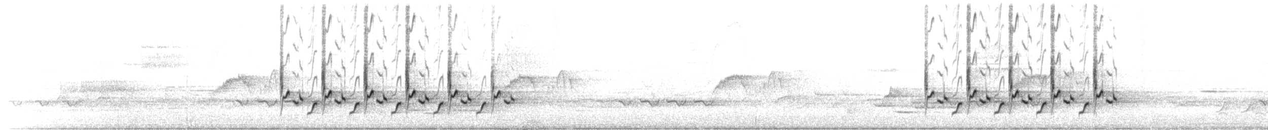 チャバラマユミソサザイ - ML539654
