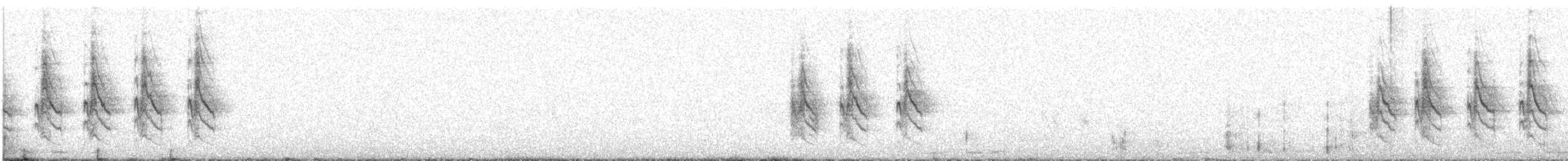 Souimanga de Palestine - ML539656501