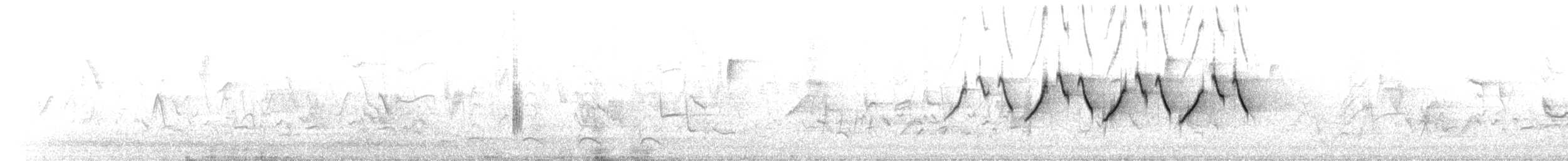 Common Yellowthroat - ML539692