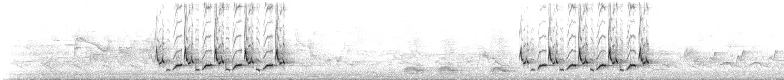 チャバラマユミソサザイ - ML539709