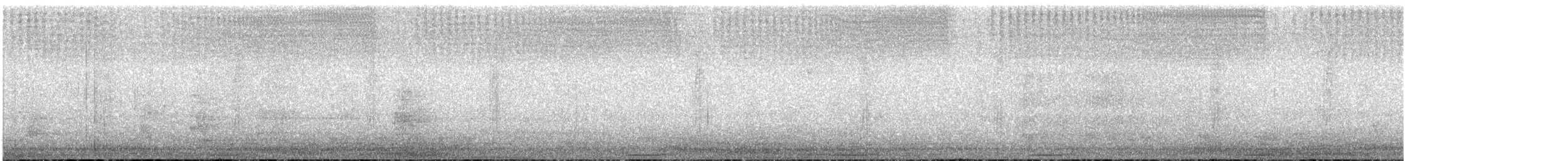 holub pestrokřídlý - ML539743991