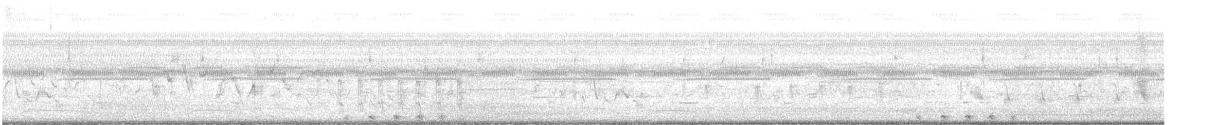 Least Bittern - ML539817021