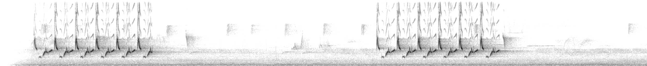 チャバラマユミソサザイ - ML539840
