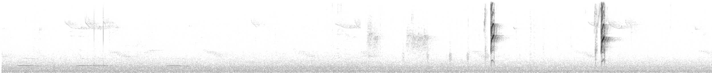 Karolina Çıtkuşu - ML539845
