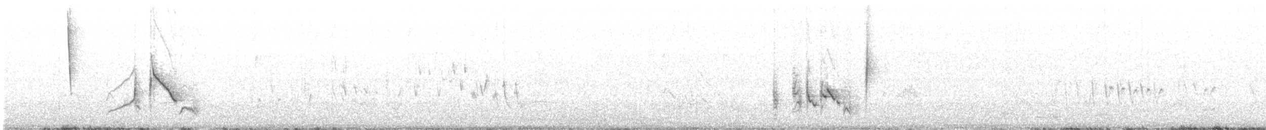 White-eyed Vireo - ML53988161