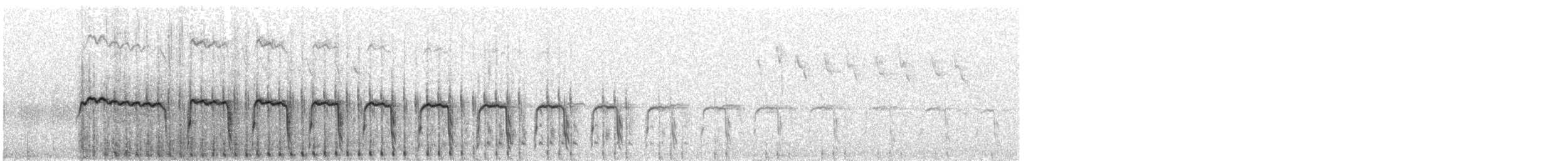 Pisaka tinamua - ML539883131