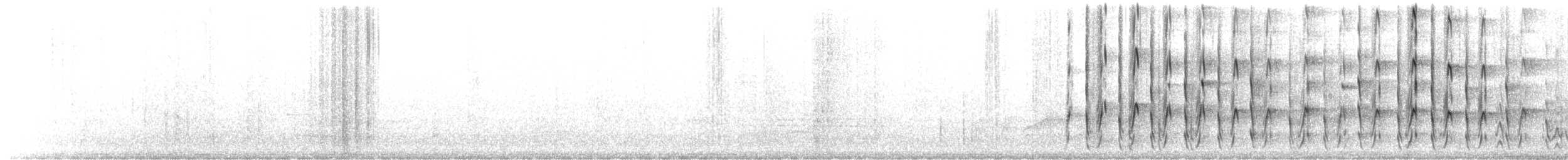 Sert Tüylü Ağaçkakan [villosus grubu] - ML539897