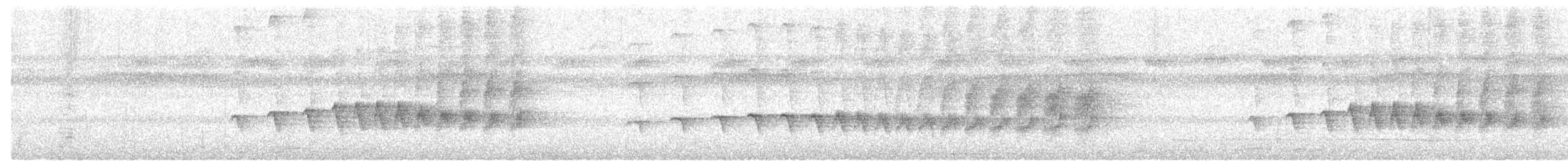 Rostflanken-Ameisenschnäpper - ML539904571