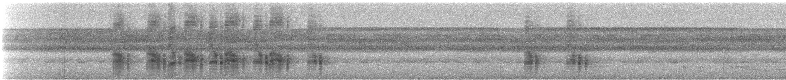 Black-tailed Tityra (Western) - ML539930141