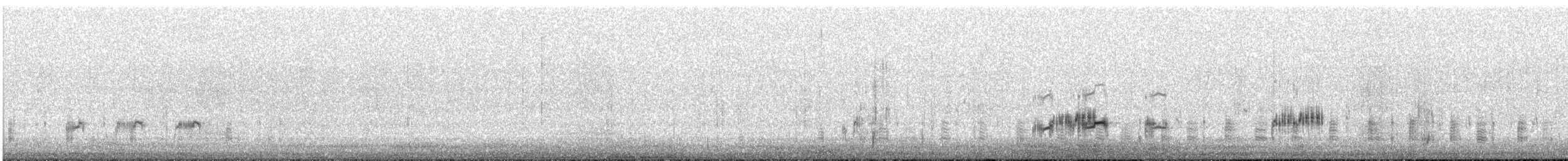 Western Grebe - ML539940321