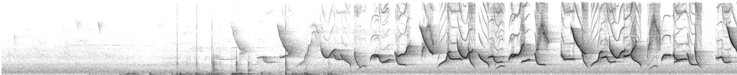 インカマユミソサザイ - ML539942991