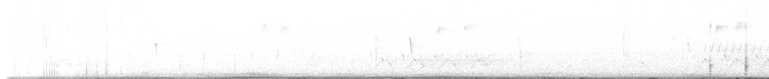 Râle élégant - ML539991491