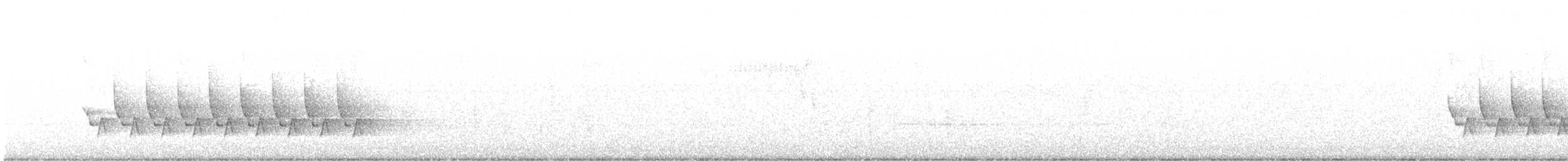 Поплітник каролінський - ML540001291