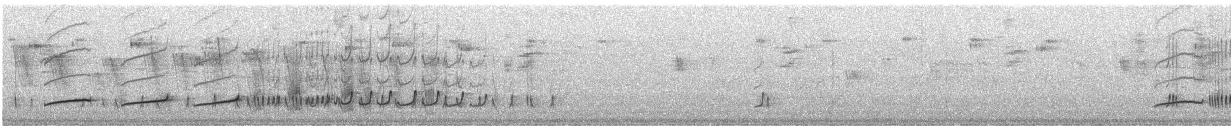 Тиран-крихітка світлогорлий - ML540119691