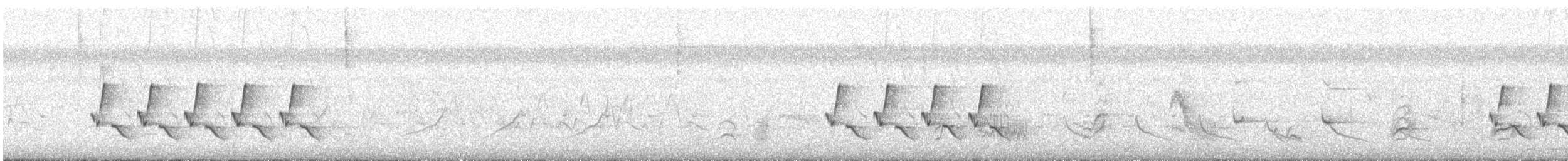Поплітник каролінський - ML540120191